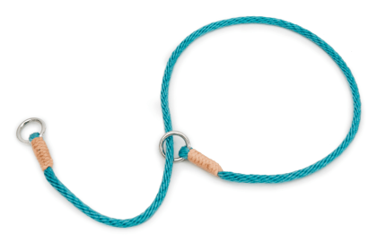 Nylon Slip Collars (10 in x 1/8in or 4mm) (Color: Teal Green, size: 10 In X 1/8In Or 4Mm)