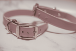 Biothane Buckle Dog Collar