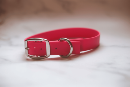 Biothane Buckle Dog Collar (Color: Red, size: Medium 13-15 Inches)