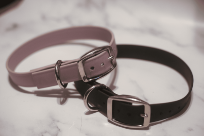 Biothane Buckle Dog Collar (Color: lavender, size: Large/Xl 16-18 Inches)