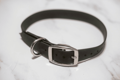 Biothane Buckle Dog Collar (Color: Hunter Green, size: Xxl 19-21 Inches)