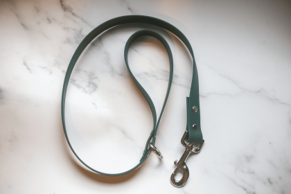 Biothane Leash (Color: Teal, size: 4 Feet)