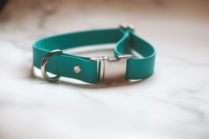 Biothane Quick Release Collar (Color: Teal, size: Medium 12-17 Inches)
