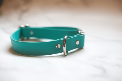 Biothane Quick Release Collar (Color: Teal, size: Large 16-21 Inches)
