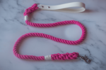 Biothane & Rope Leash Combo