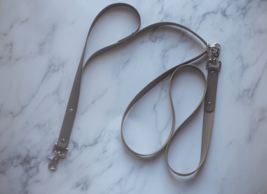Hands Free Biothane Leash (Color: Sahara With Od Green, size: 8 Ft)