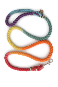 Rope Dog Leash (Color: Rainbow, size: 4 Ft)