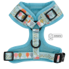 Adjustable Harness