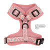 Adjustable Harness