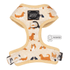 Adjustable Harness