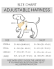 Adjustable Harness