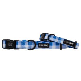 Sassy Woof Dog Collars (Color: The Wizard Of Paws, size: large)