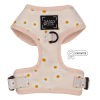Adjustable Harness