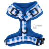 Adjustable Harness