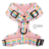 Adjustable Harness