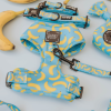 Adjustable Harness