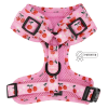 Adjustable Harness
