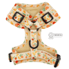 Adjustable Harness