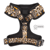 Adjustable Harness