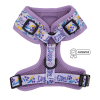 Adjustable Harness