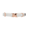 Sassy Woof Dog Collars
