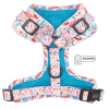 Adjustable Harness
