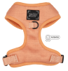 Adjustable Harness