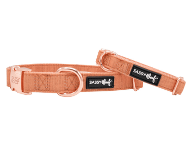 Collar (Color: Apple Cider, size: medium)