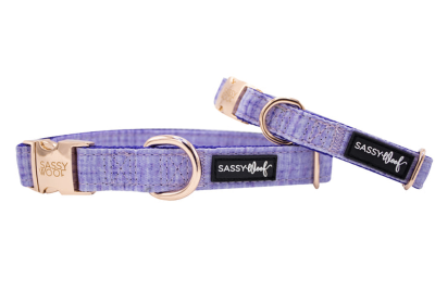 Collar (Color: Aurora, size: small)