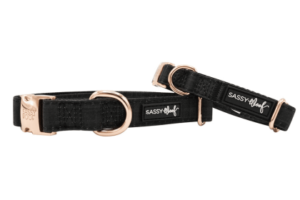 Collar (Color: Baby Got Black, size: medium)
