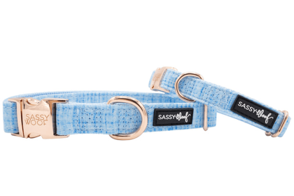 Collar (Color: Blumond, size: small)