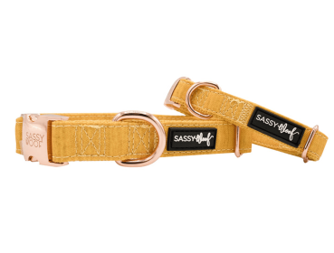 Collar (Color: Sunflower Fields, size: medium)