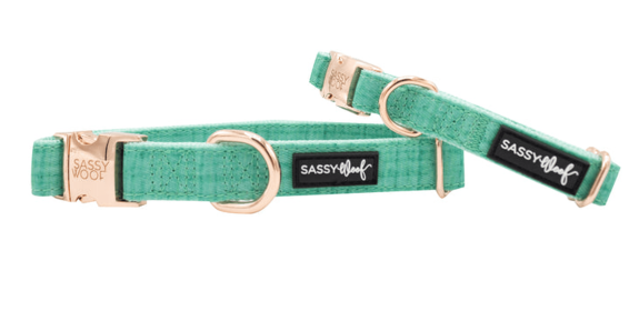 Collar (Color: Wag Your Teal, size: medium)