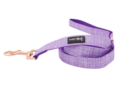 Leash (Color: Aurora, size: One Size)