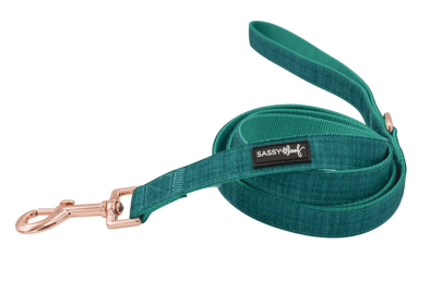 Leash (Color: Napa, size: One Size)