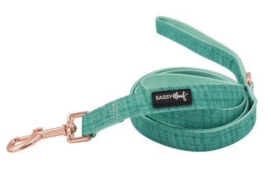 Leash (Color: Wag Your Teal, size: One Size)
