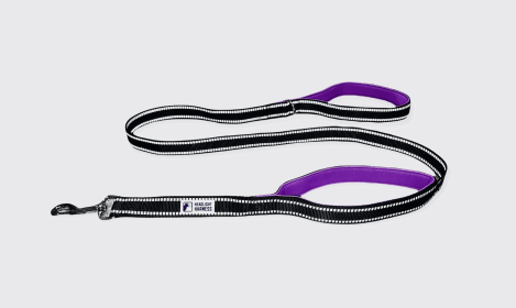 Headlight Harness Double Handle Reflective Leash (Color: Purple, size: 6Ft)