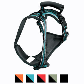 GOOPAWS Padded Reflective Dog Harness (Color: Blue, size: Neck)