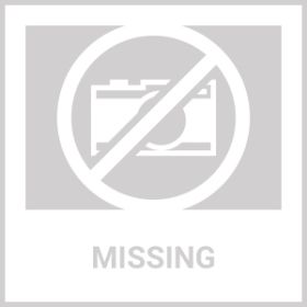 Da Boon Original Double-Sided Reflective Leash (Color: Black)