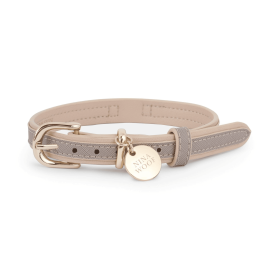 London Dog Collar (size: medium)