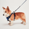 Mr. Peanut's PetTrek Reflective Pet Harness With Matching Leash