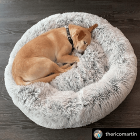 Mr. Peanut's OrthoPlush Pet Bed (Color: Gray Two Tone, size: 23 In)