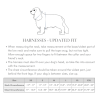 Seaside Reversible Dog Harness