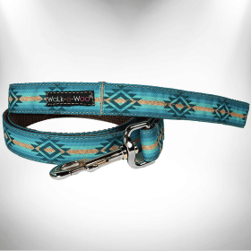 RaDog Leash (Color: Turquoise Sky, size: Regular 1" Width- 5' Long)