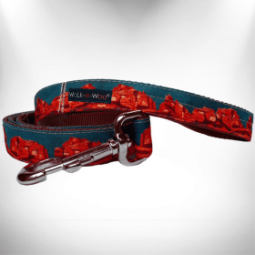 Nature-Lover Leads (Color: Rockin' Red Rocks, size: Regular Lead 1" Width- 5' Length)