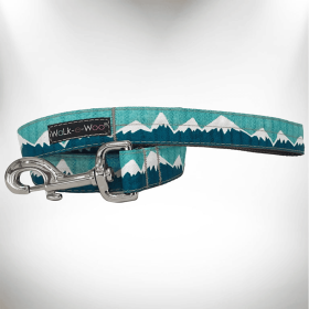 Snowcap Mountain Dog Leash (Color: Wintergreen, size: Regular 1" Width- 5' Long)