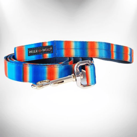 Tie Dye Dog Leads (Color: Blue/Orange, size: Regular Lead 1" Width- 5' Length)