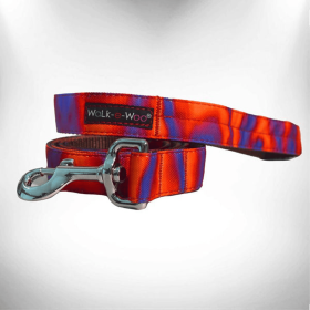 Ombre Dog Leads (size: Thin Lead 5/8" Width- 5' Length)