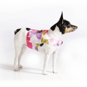 DCNY "Fine Art Frolic" Pink Vest-Style Harness (size: Sm)