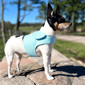 DCNY Harness Vest (Color: Aqua, size: Md)